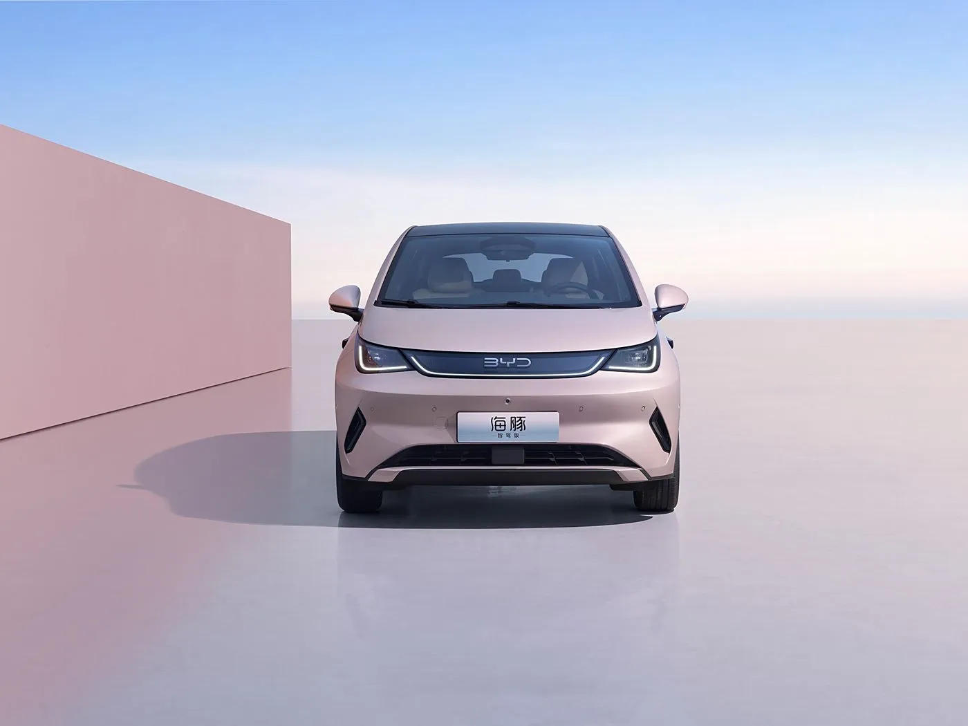 BYD Dolphin Urban Style Mini elektriese luikrug-mode-uitgawe met slim tegnologie nuwe energievoertuig