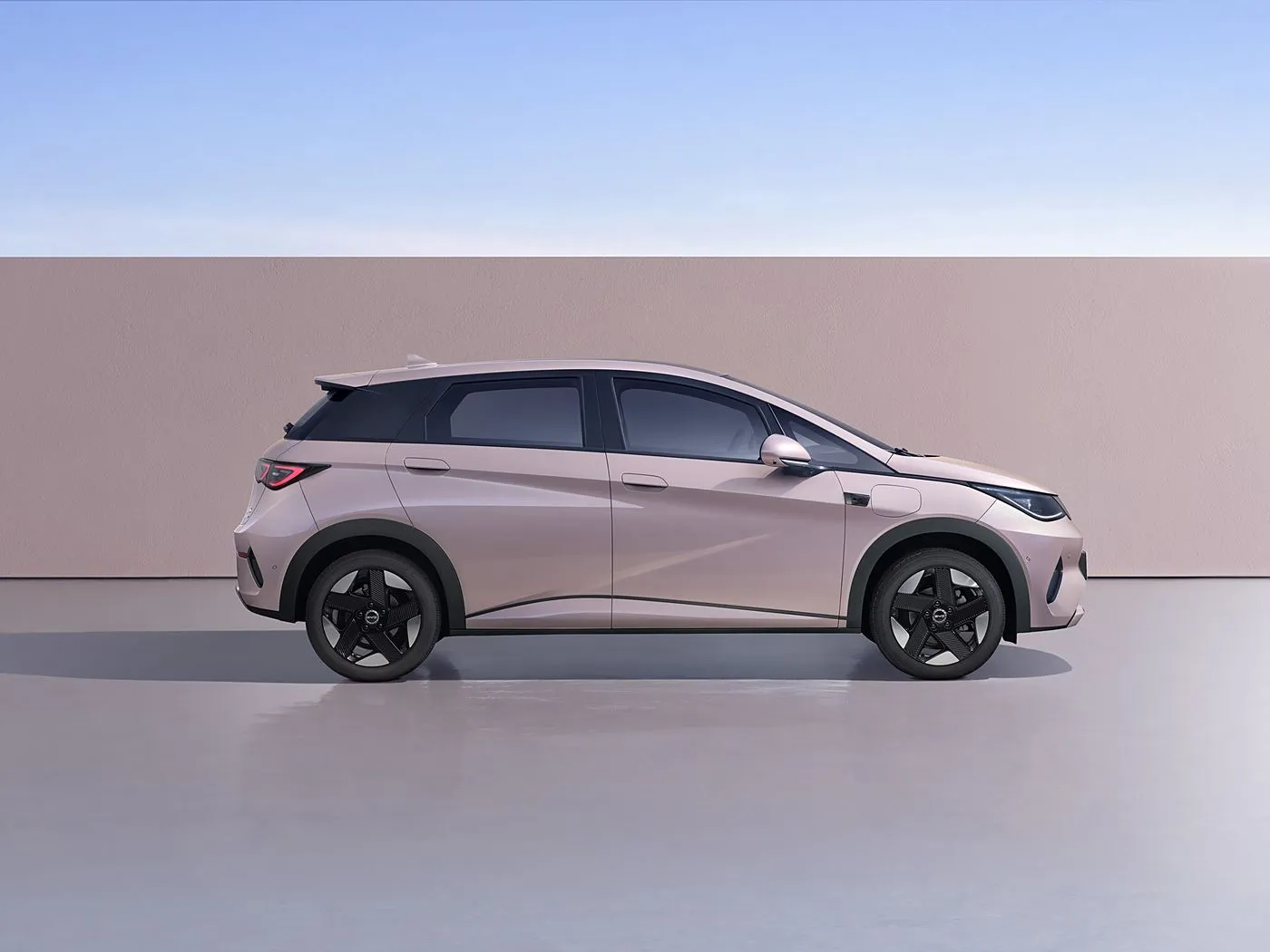 BYD Dolphin Urban Style Mini elektriese luikrug-mode-uitgawe met slim tegnologie nuwe energievoertuig