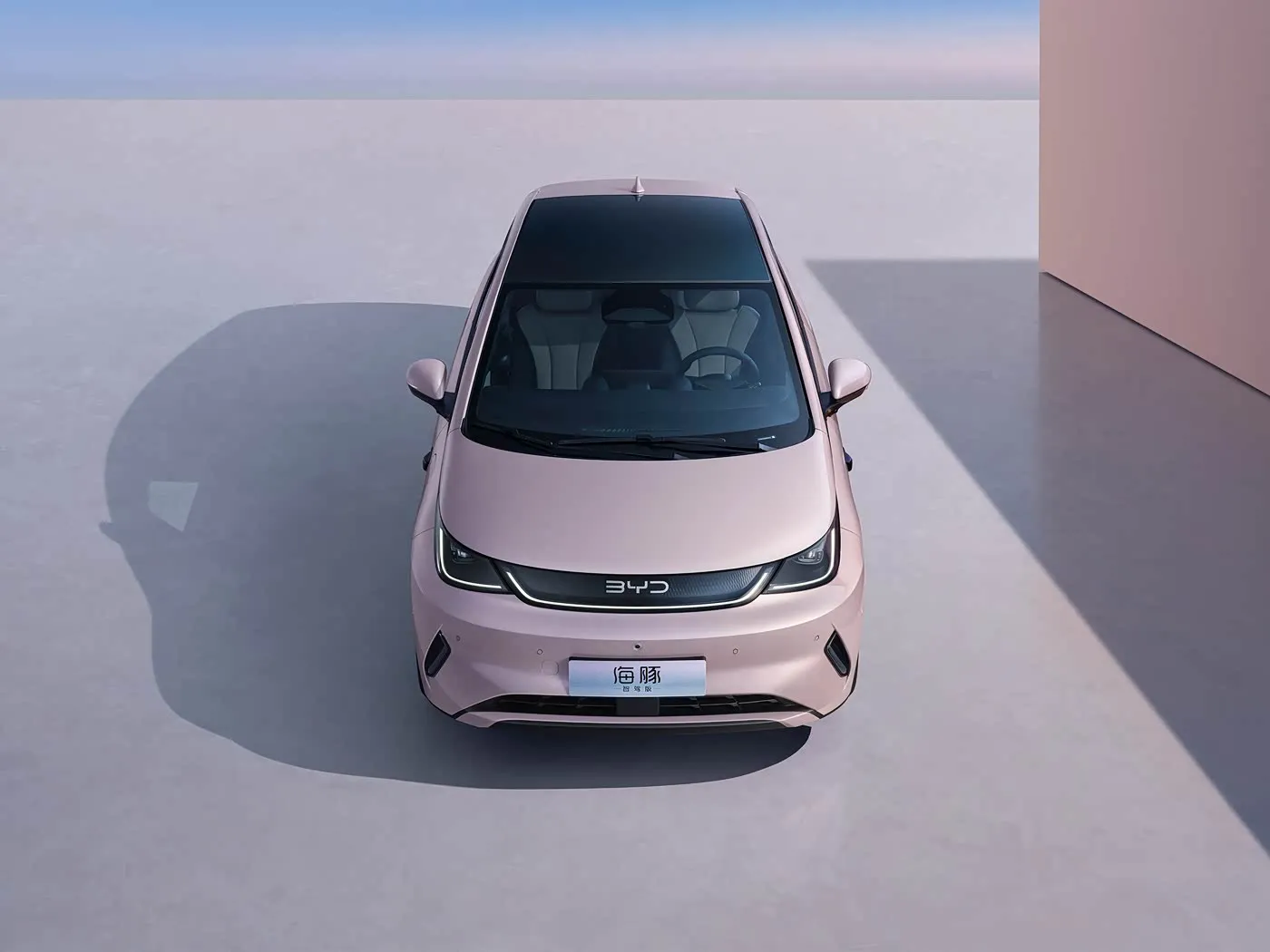 BYD Dolphin Urban Style Mini elektriese luikrug-mode-uitgawe met slim tegnologie nuwe energievoertuig